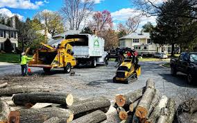 Reliable Richmond, KY Tree Services Solutions