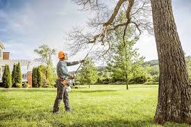 Best Tree Disease Treatment  in Richmond, KY