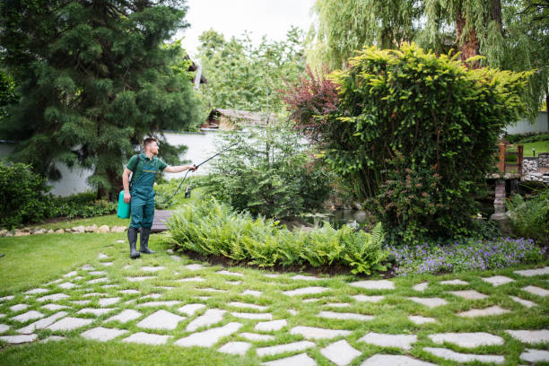 Best Artificial Turf Installation  in Richmond, KY