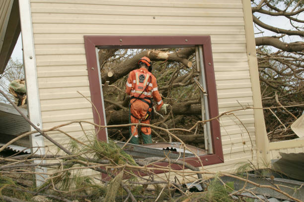 Best Firewood Processing and Delivery  in Richmond, KY