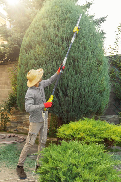 Best Leaf Removal  in Richmond, KY