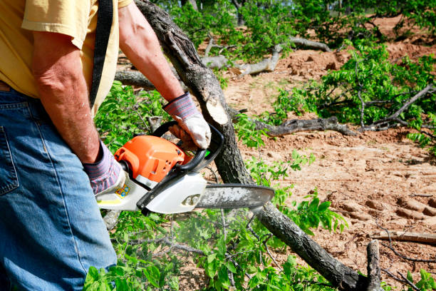 Best Grass Overseeding  in Richmond, KY